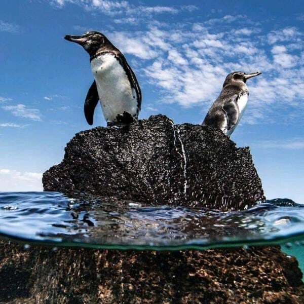 Travel to galapagos Islands with us