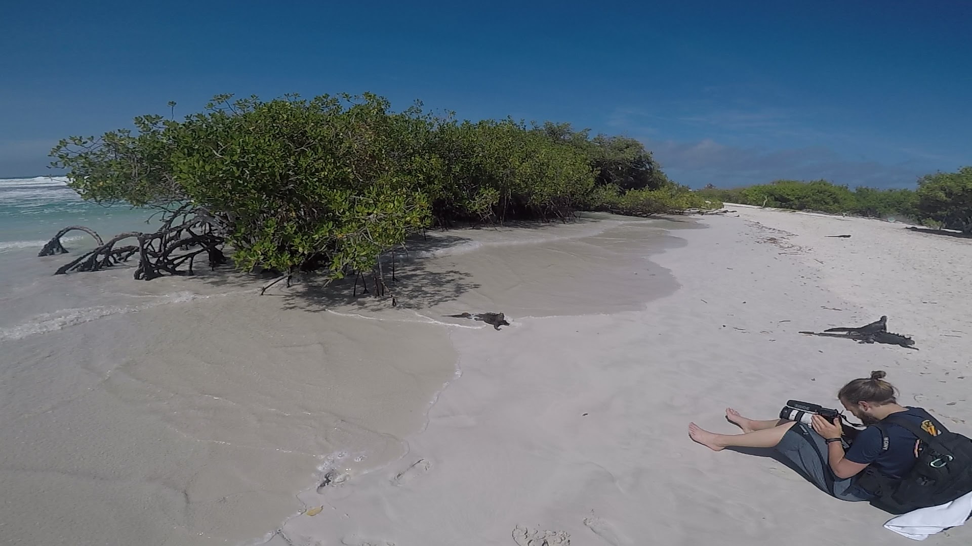 Travel to Galapagos Islands with us