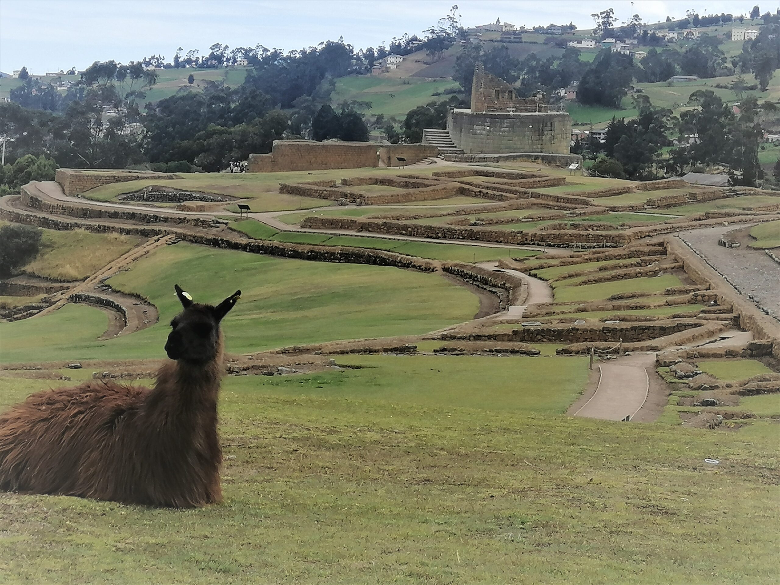 Travel to Ancient Civilizations